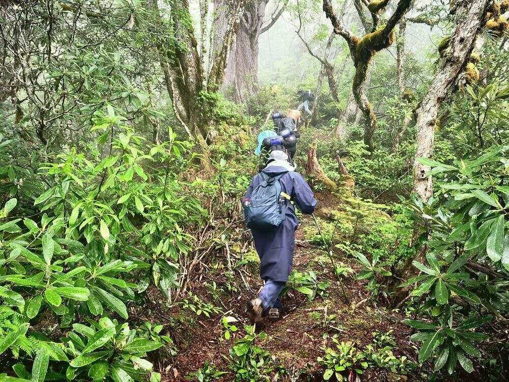 “电力天路”即将问世我国科研团队如何勇闯“无人区”？