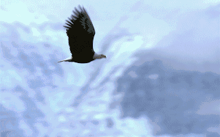 协创数据：公司将持续关注相关市场价格动态优化回收业务的成本控